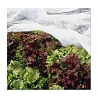 Garden Fleece Fabrics