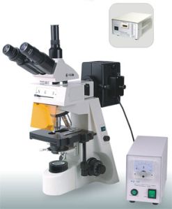 MV-XYL-146Y Fluorescence Microscope