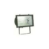 Halogen Flood Light Luminaires