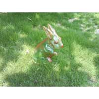 Garden Rabbit Transparent