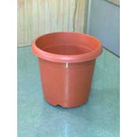 Nursery Green Planter - 10no