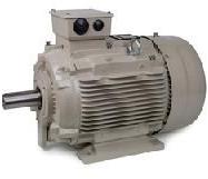 Three Phase Induction Motor