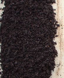 vermicompost