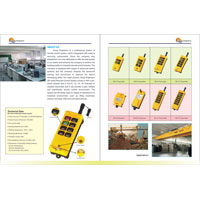 Industrial Wireless Remote Systems