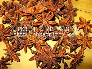 star aniseed to EU markets