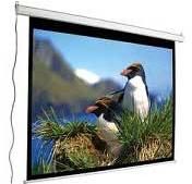 Motorized Wall Screen