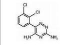 Lamotrigine Drug