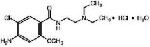 Metoclopramide Hydrochloride