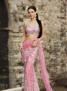 Partywear Saree