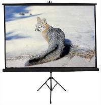 Tripod Projector Screen