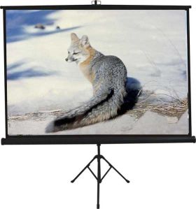 Tripod Projection Screen