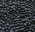 black tentils, kali dal, urad dal