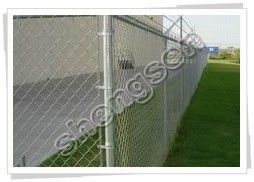 Chain Link Fence