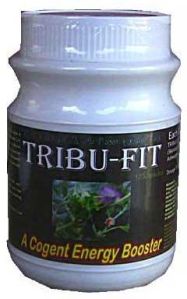 Tribu Fit