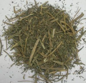 Pitt Papada (fumaria Indica)