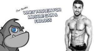 Whey Proteins