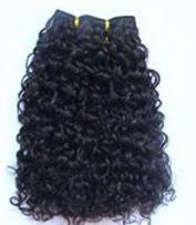 Ladies Hair Wigs