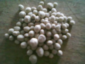 Bio Organic Granular