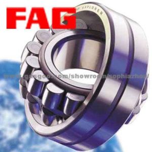 Fag Bearing