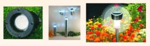 Led garden Lights