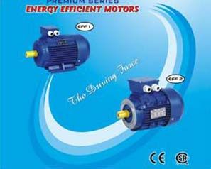 standard electric motors