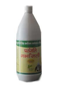 PATANJALI GARBHANJALI