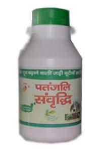 Patanjali Sanwardhi