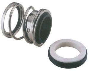 Mechanical Seals