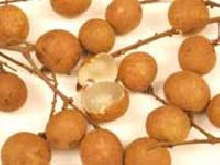 Longan Fruits