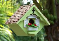 Bird House