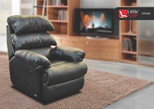 Living Room Recliner