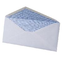 Security Envelopes