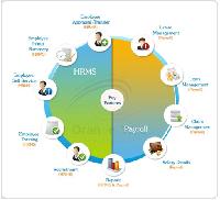 Human Resource Management System Software