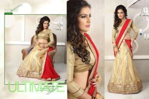 Wedding Lehenga Choli