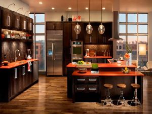 Modular Kitchen Transitional Design