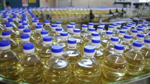 Sunflower Oil