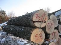 Ash Logs from Lithuania/latvia/ukraine (fraxinus Excelsior)