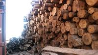 Fir Logs from Ukraine (abies Alba)