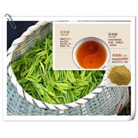 Tea Polyphenol