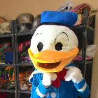 Donald Duck costume