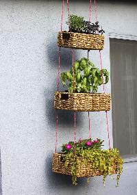 hanging garden basket