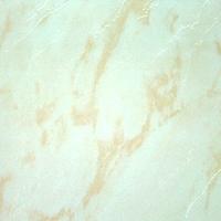 policed vitrified tiles