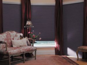 duette blinds