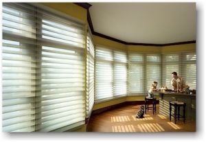 Silhouette Blinds