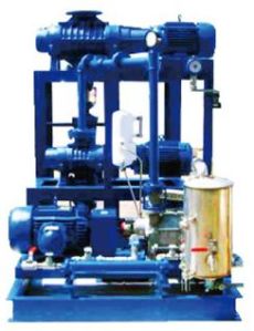 Booster / Dry Screw Vacuum Pump System