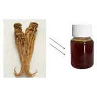 Angelica Root Oil