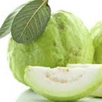 Guava