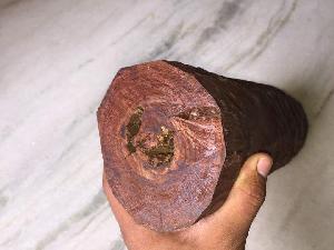 Red sandalwood