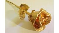 gold plated rose