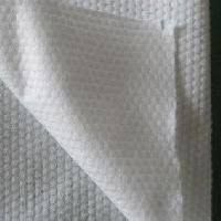 Spunlace Non Woven Fabric